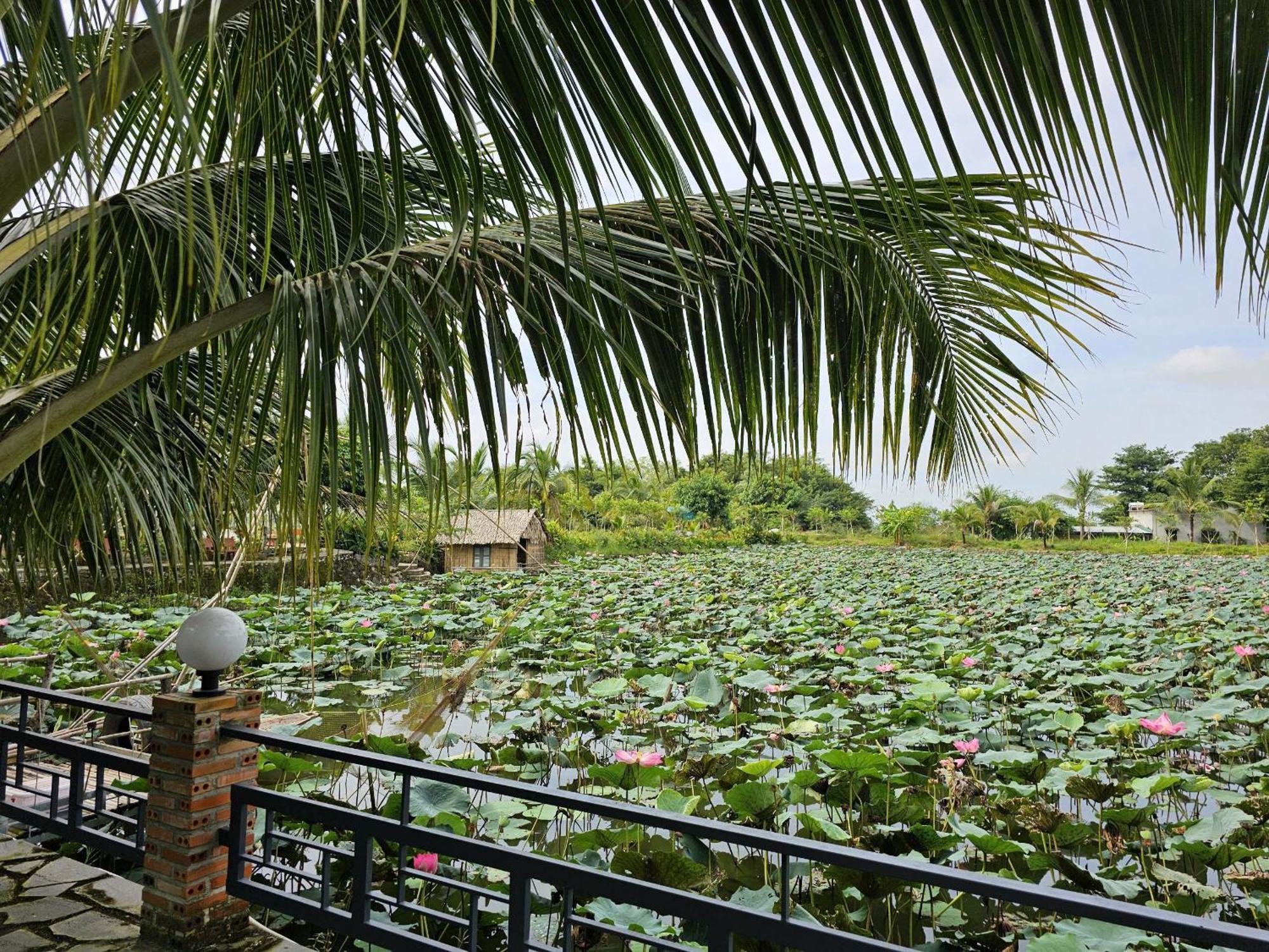 Phu Dien Homestay カッティエン エクステリア 写真